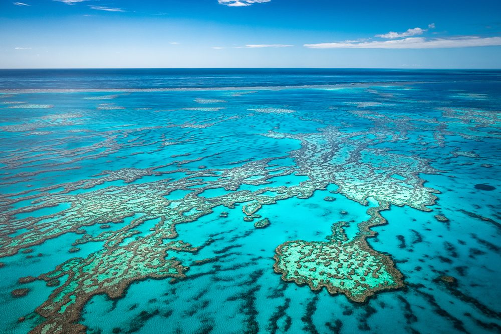 Great Barrier Reef Marine Park Official Ganp Park Page